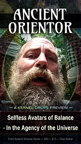 Selfless Avatars of Balance · In the Agency of the Universe