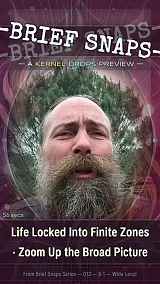 Life Locked Into Finite Zones · Zoom Up the Broad Picture