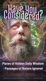 Plates of Hidden Daily Wisdom · Passages of Nature Ignored