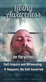 Self-Inquiry and Witnessing · It Happens, No Self Asserted