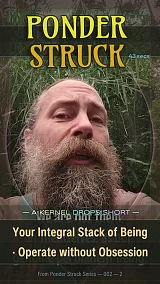 Your Integral Stack of Being · Operate without Obsession