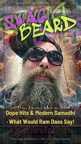 Dope Hits & Modern Samadhi · What Would Ram Dass Say!