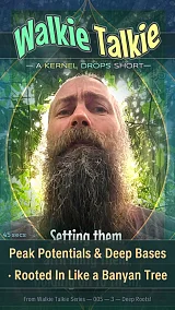 Peak Potentials & Deep Bases · Rooted In Like a Banyan Tree