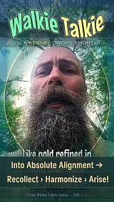 Into Absolute Alignment → Recollect › Harmonize › Arise!