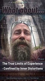 The True Limits of Experience · Confined by Inner Distortions