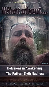 Delusions in Awakening · The Pattern Myth Madness