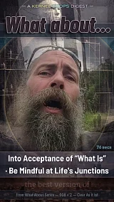Into Acceptance of “What Is” · Be Mindful at Life's Junctions