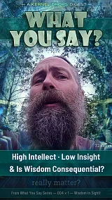 High Intellect · Low Insight & Is Wisdom Consequential?