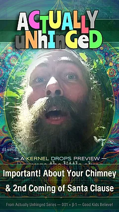 Important! About Your Chimney & 2nd Coming of Santa Clause