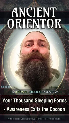 Your Thousand Sleeping Forms · Awareness Exits the Cocoon