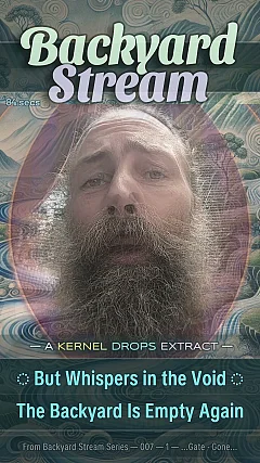 But Whispers in the Void ◌ The Backyard Is Empty Again