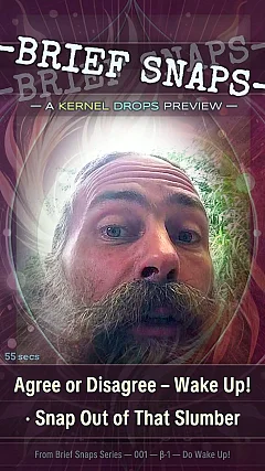 Agree or Disagree – Wake Up! · Snap Out of That Slumber