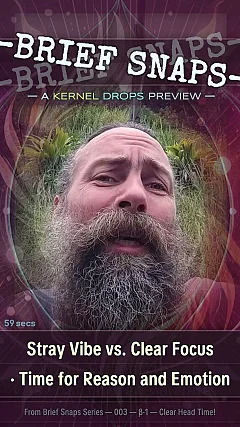 Stray Vibe vs. Clear Focus · Time for Reason and Emotion