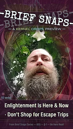 Enlightenment Is Here & Now · Don't Shop for Escape Trips