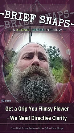 Get a Grip You Flimsy Flower · We Need Directive Clarity