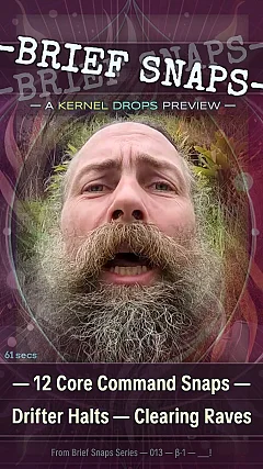 12 Core Command Snaps — Drifter Halts — Clearing Raves