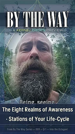 The Eight Realms of Awareness · Stations of Your Life-Cycle