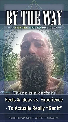 Feels & Ideas vs. Experience · To Actually Really “Get It”