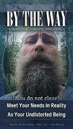 Meet Your Needs In Reality As Your Undistorted Being