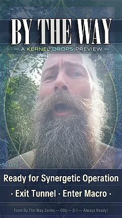 Ready for Synergetic Operation · Exit Tunnel · Enter Macro ·