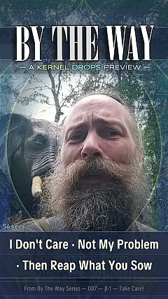 I Don't Care · Not My Problem · Then Reap What You Sow