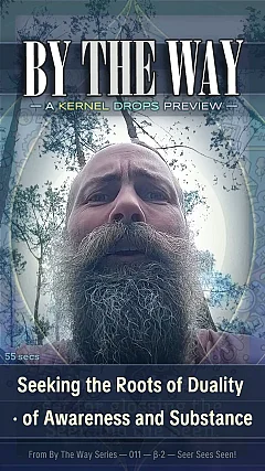 Seeking the Roots of Duality · of Awareness and Substance