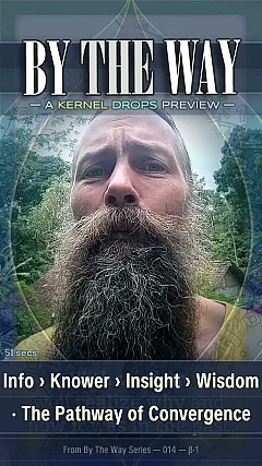 Info › Knower › Insight › Wisdom · The Pathway of Convergence