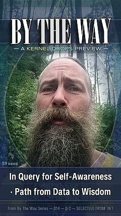 In Query for Self-Awareness · Path from Data to Wisdom