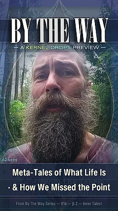 Meta-Tales of What Life Is · & How We Missed the Point