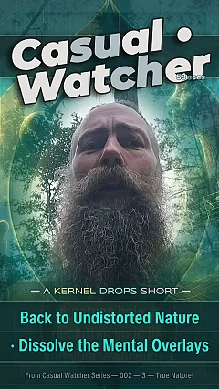 Back to Undistorted Nature · Dissolve the Mental Overlays