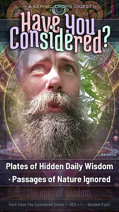 Plates of Hidden Daily Wisdom · Passages of Nature Ignored