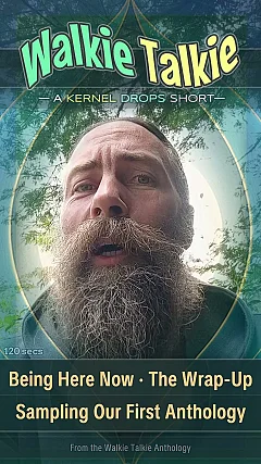 Being Here Now · The Wrap-Up Sampling Our First Anthology