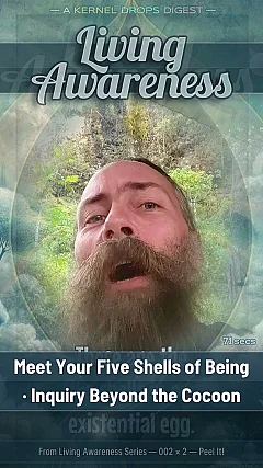 Meet Your Five Shells of Being · Inquiry Beyond the Cocoon