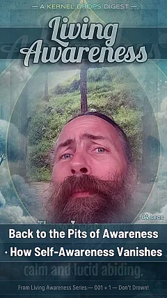 Back to the Pits of Awareness · How Self-Awareness Vanishes