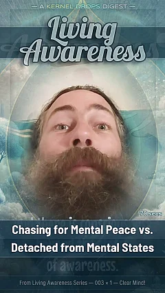 Chasing for Mental Peace vs. Detached from Mental States