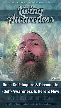 Don't Self-Inquire & Dissociate · Self-Awareness Is Here & Now