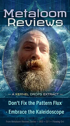 Don't Fix the Pattern Flux · Embrace the Kaleidoscope