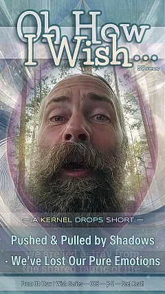 Pushed & Pulled by Shadows · We've Lost Our Pure Emotions