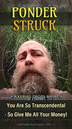 You Are So Transcendental · So Give Me All Your Money!