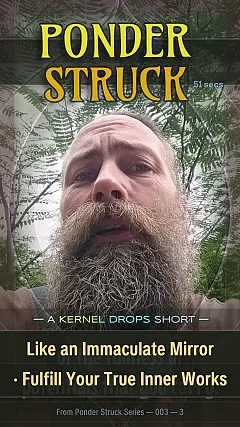 Like an Immaculate Mirror · Fulfill Your True Inner Works