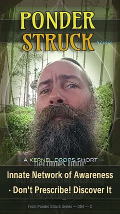 Innate Network of Awareness · Don't Prescribe! Discover It