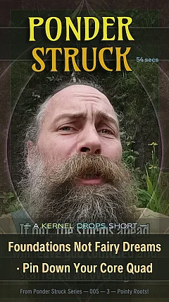 Foundations Not Fairy Dreams · Pin Down Your Core Quad