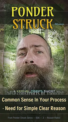 Common Sense In Your Process · Need for Simple Clear Reason