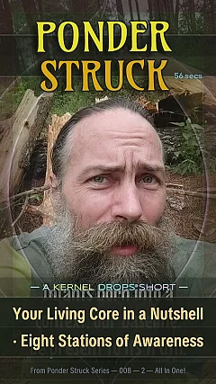 Your Living Core in a Nutshell · Eight Stations of Awareness