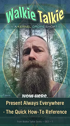 Present Always Everywhere · The Quick How-To Reference