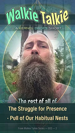 The Struggle for Presence · Pull of Our Habitual Nests