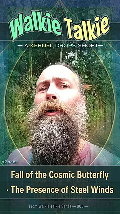 Fall of the Cosmic Butterfly · The Presence of Steel Winds