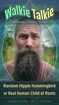 Random Hippie Hummingbird or Real Human Child of Roots