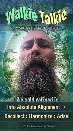 Into Absolute Alignment → Recollect › Harmonize › Arise!