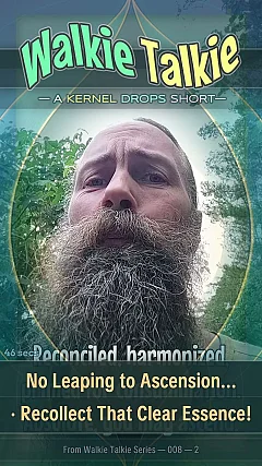 No Leaping to Ascension... · Recollect That Clear Essence!